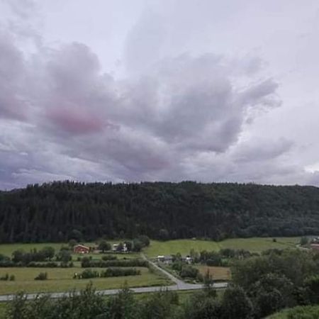 Skogan Leirfjord Exterior foto