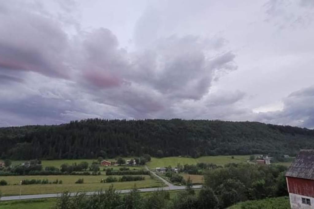 Skogan Leirfjord Exterior foto