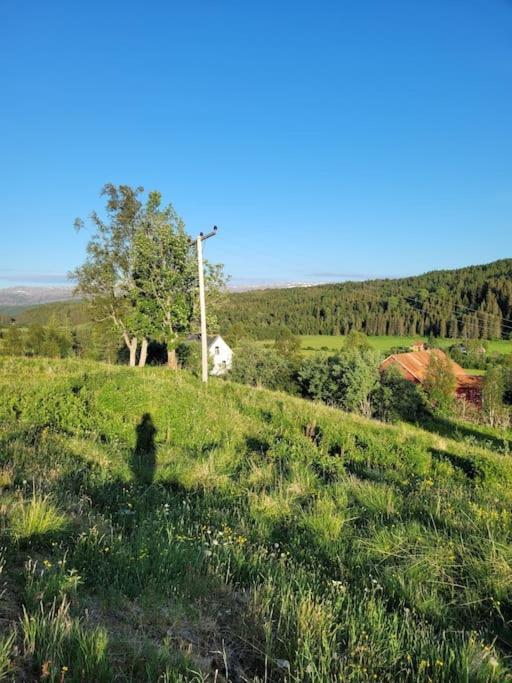 Skogan Leirfjord Exterior foto